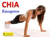 FARINHA DE CHIA 500G FITOTERÁPICOS EMAGRECE ÔMEGA 3 CÓD.560