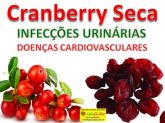 CRANBERRY 1kg INFECÇÕES URINÁRIAS DOENÇAS CARDIOV. Cód.157
